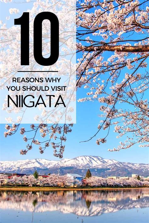 Click Through To Read A Comprehensive Guide On Niigata Japan A Must