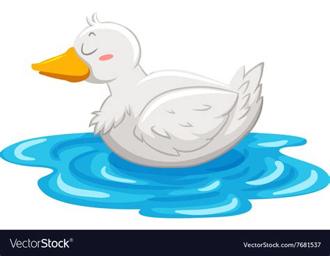 Little Duck Floating On Water Royalty Free Vector Image