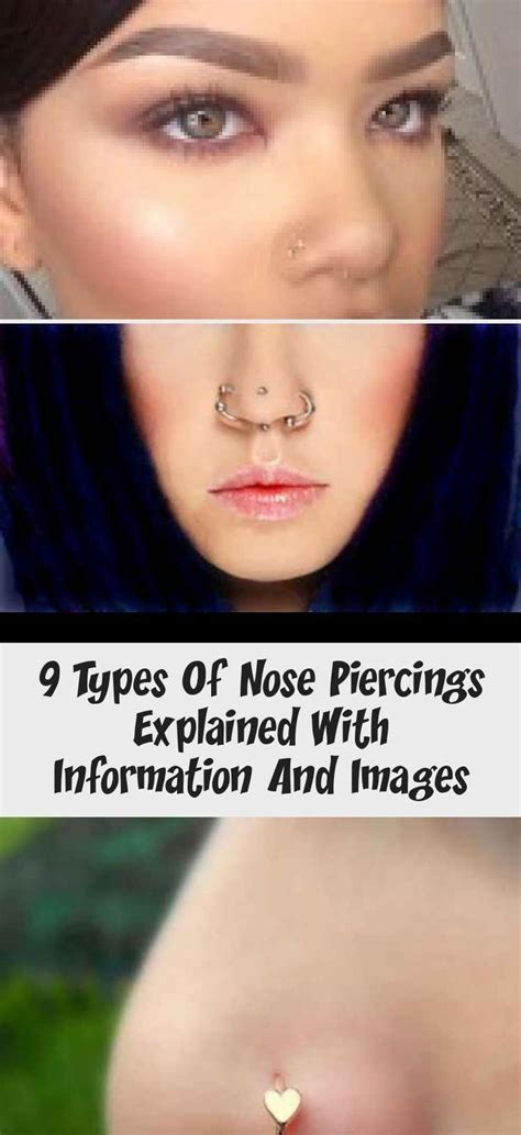 9 Types Of Nose Piercings Explained With Information And Images Piercings D Explai