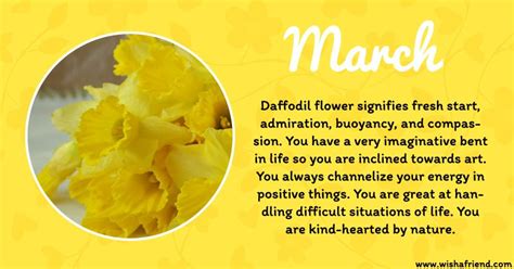 March Birth Flower Daffodil Birth Flowers Birth Month Flowers Flowers