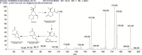 The Mass Spectrum Of Quinic Acid And Its Fragmentation Pattern
