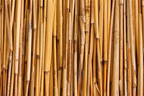 Bamboo Texture Free Stock Photo Public Domain Pictures