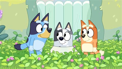 Bluey Season 3 Is Officially Coming To Disney