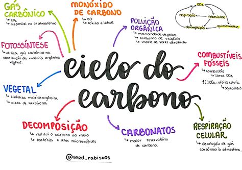 Ciclo Do Carbono Ciclo Do Carbono Mapa Mental Resumos Enem