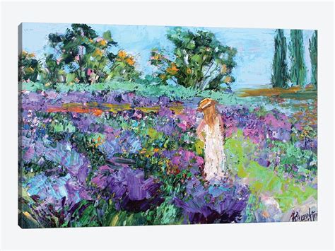 Provence Lavender Canvas Art Print By Karen Tarlton Icanvas
