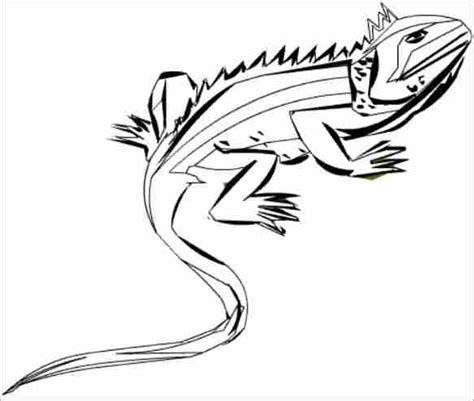 Desenho De Iguana Com Patas Esticadas Para Colorir Tudodesenhos Porn Sex Picture