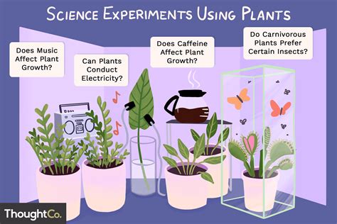 23 Ideas For Science Experiments Using Plants