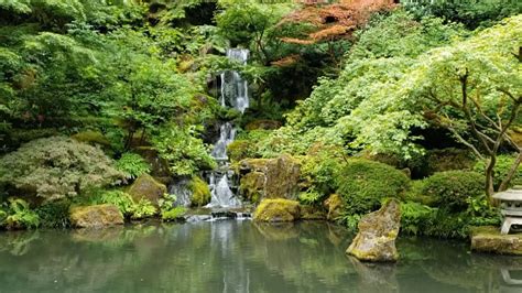 Portland Japanese Garden Closes Temporarily Due To Covid