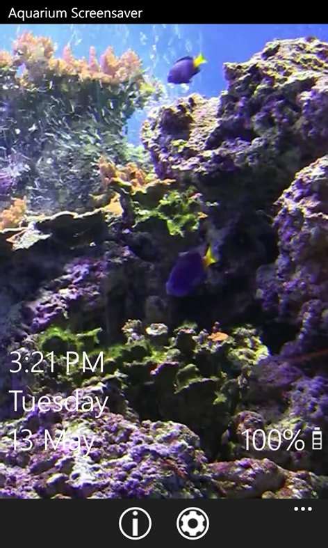 Aquarium Screensaver For Windows 10 Free Download And