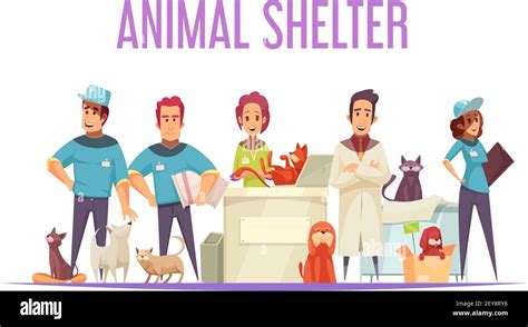 Animal Shelter Design Concept With Volunteers Veterinarians Domestic