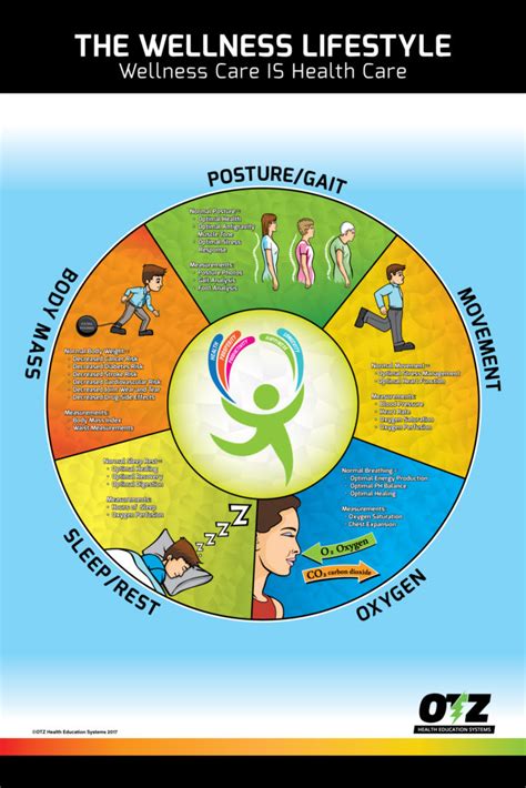 The Wellness Lifestyle Poster Otz Health Education Systems