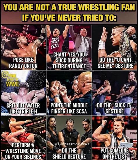 Ive Done All No Lie I Do All Of Them Everyday Xd Wwe Funny Wwe