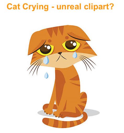 Top 165 Anime Cat Crying