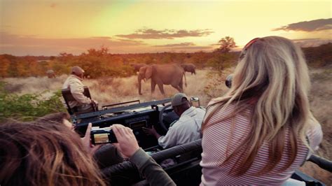 Explore Kruger National Park In South Africa Africa G Adventures