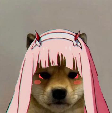 Dog Pfp Meme Anime