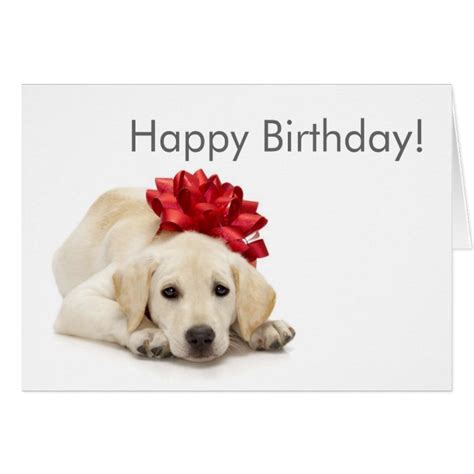 Labrador Retriever Happy Birthday Card Zazzle