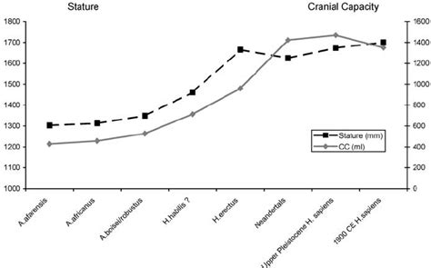 Increase In Brain Size Cc Cranial Capacity Of Hominin Taxa Arranged