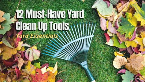 12 Must Have Yard Clean Up Tools Yard Essentials The Backyard Pros