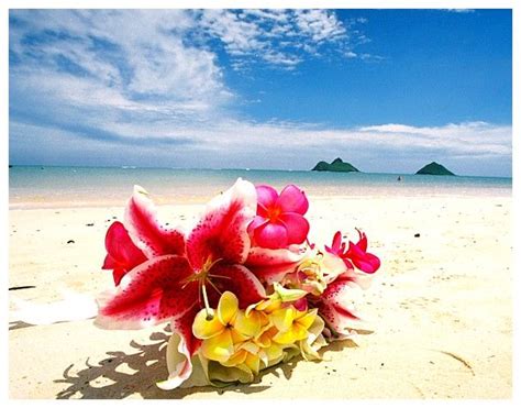 Hawaiian Flowers On The Beach Aloha Hawaii Pinterest Hawaiian