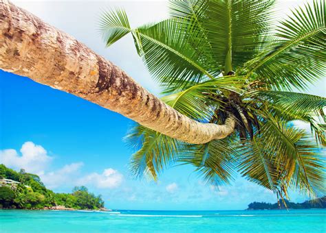 Best Tropical Honeymoon Destinations Mystart