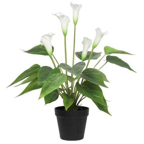 Artificial Flowering White Peace Lily Calla Lily Plant 50cm Auz