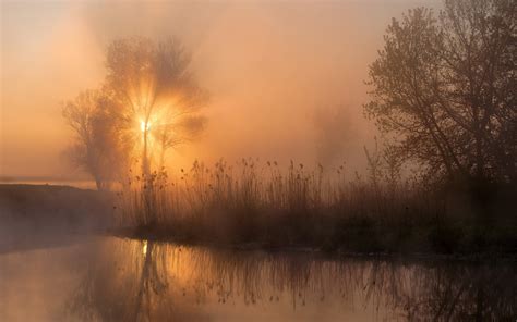 Mist River Shrubs Landscape Sunbeams Nature Wallpaper 152786