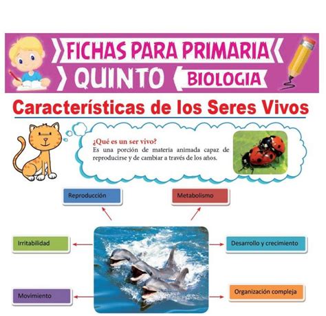 Características De Los Seres Vivos Para Quinto De Primaria