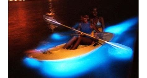 Bioluminescent Bay In Puerto Rico Citizen Of The Earth