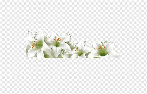 Lilium Flower Lily Fragrance White Artificial Flower Flowers Png