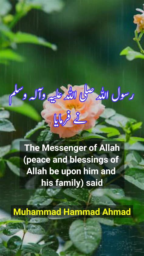 Look For Me Hazrat Muhammad SAW Quotes In Urdu