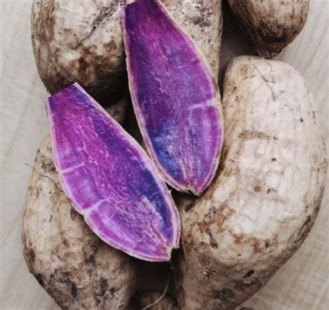 Ube Vegetable Everything You Need To Know