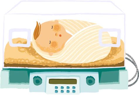 Baby Incubator Illustrations Royalty Free Vector Graphics And Clip Art