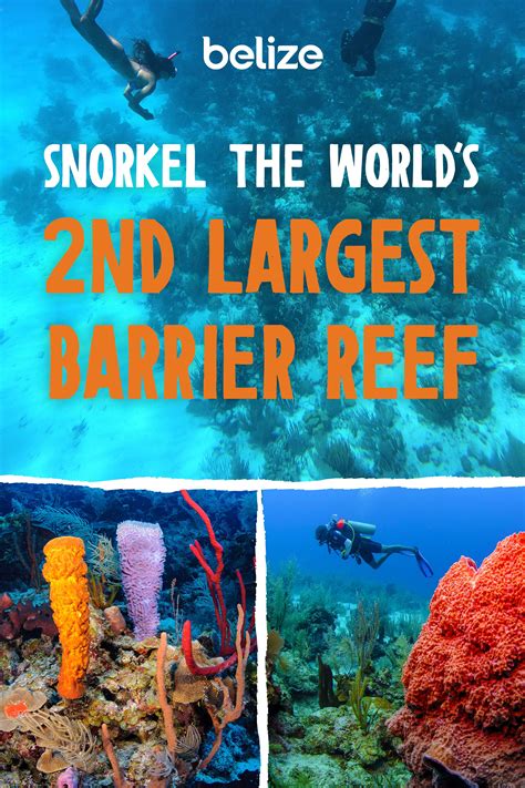 Belize Home To The 2nd Largest Barrier Reef Belize Snorkeling