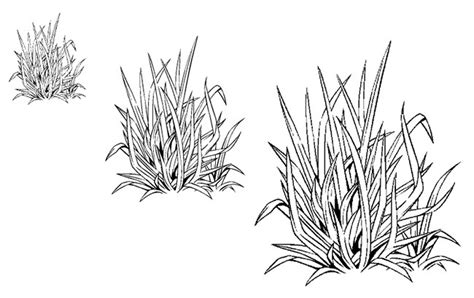 How To Draw Grass Step By Step For Kids And Beginners