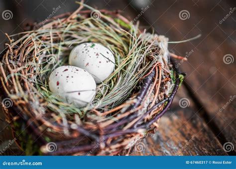 Easter Egg Nest On Rustic Wooden Background Stock Image Image Of