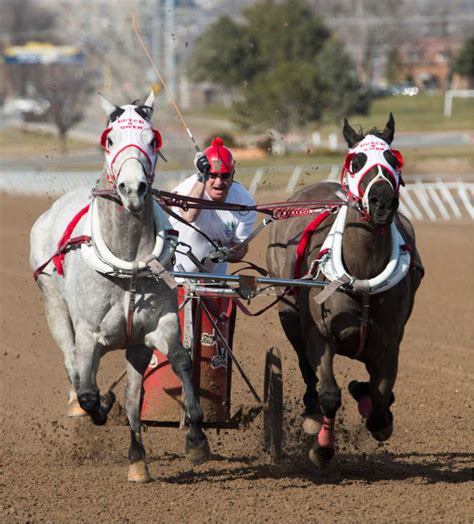 Photos State Chariot Racing Championships In Ogden The Salt Lake Tribune