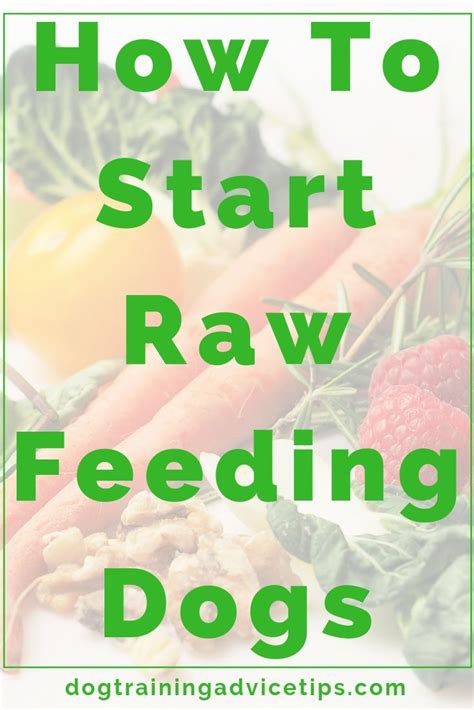 The rmbs are the most expensive part of the diet. How To Start Raw Feeding Dogs - Dog Training Advice Tips ...