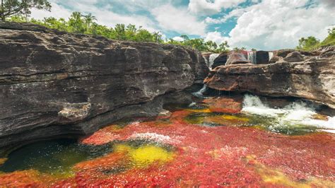 Caño cristales is a colombian river located in the serrania de la macarena province of meta, and is a tributary of the guayabero river. Caño Cristales — Colombia's "River of Five Colors" | The ...
