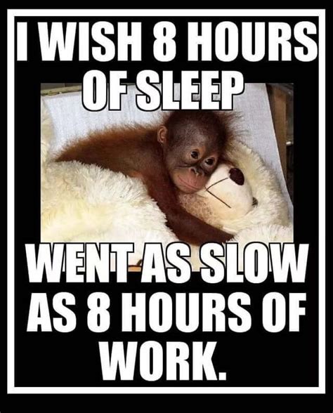 Protip Sleep At Work In 2020 Funny True Quotes Work Humor Morning Humor