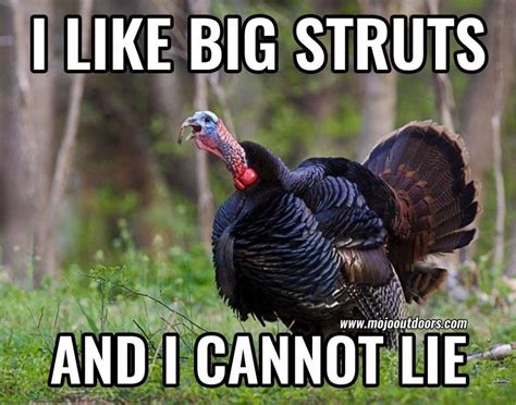it s turkey hunting month at prois like and share wild turkey hunting humor female hunter