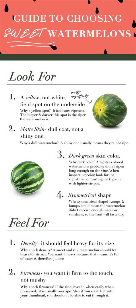 how to choose watermelons the cupboard