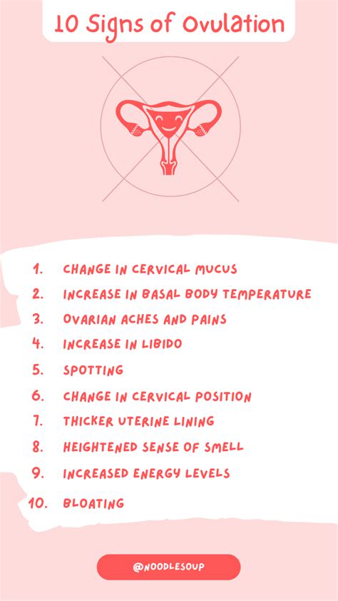 10 Signs Of Ovulation Noodle Soup