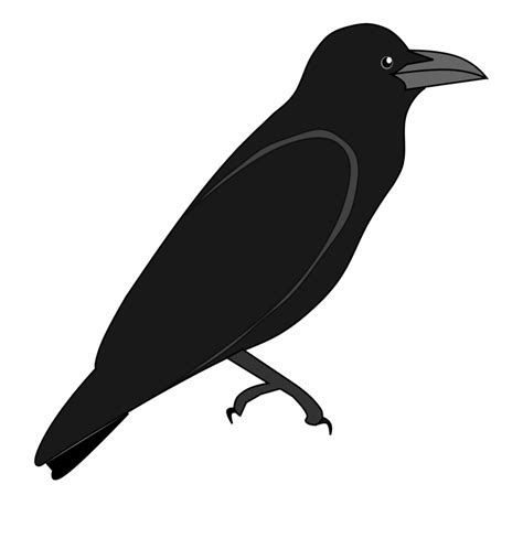 Crows Clipart Free