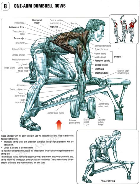 Strength Training One Arm Dumbell Bent Over Row Is It