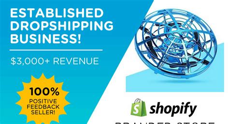 — starter site sold on flippa shopify dropshipping store winning product