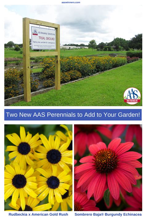 Two New Aas Perennial Winners To Add To Your Garden All America Selections Farm Pictures