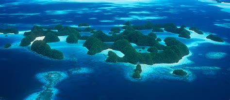 Palau Snorkeling Tour Coral Triangle Adventures
