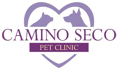 Emergency Pet Clinic Tucson : About The Staff Of Tucson Az Pima Pet Clinic Pima Pet Clinic Vets ...