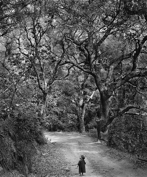 Wynn Bullock Child On Forest Road