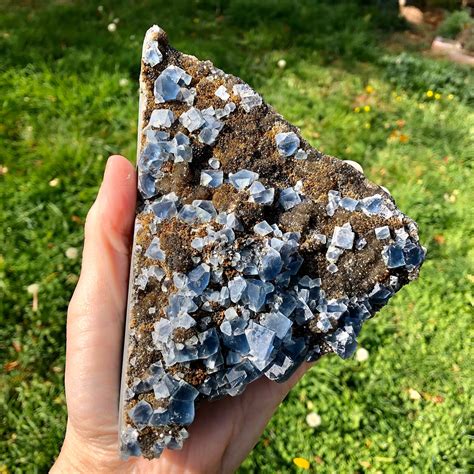 632g Blue Cubic Fluorite On Druzy Smoky Quartz Crystal Cluster Specimen